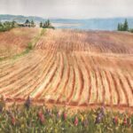 “Potato Fields, PEI”, 12”x12”, watercolor